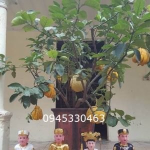 Đôi nét đặc điểm của tượng ông Hoàng Bơ